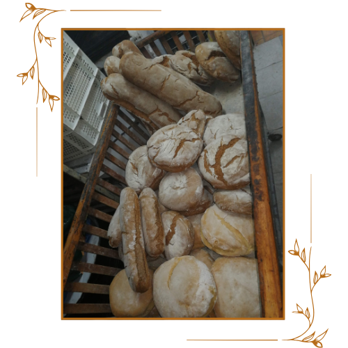 variedad de panes de panadería artesana